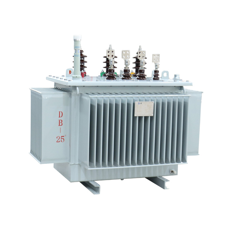 Trasformatore immerso a tre fasi da 4000 kVA